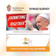 Synod Survey