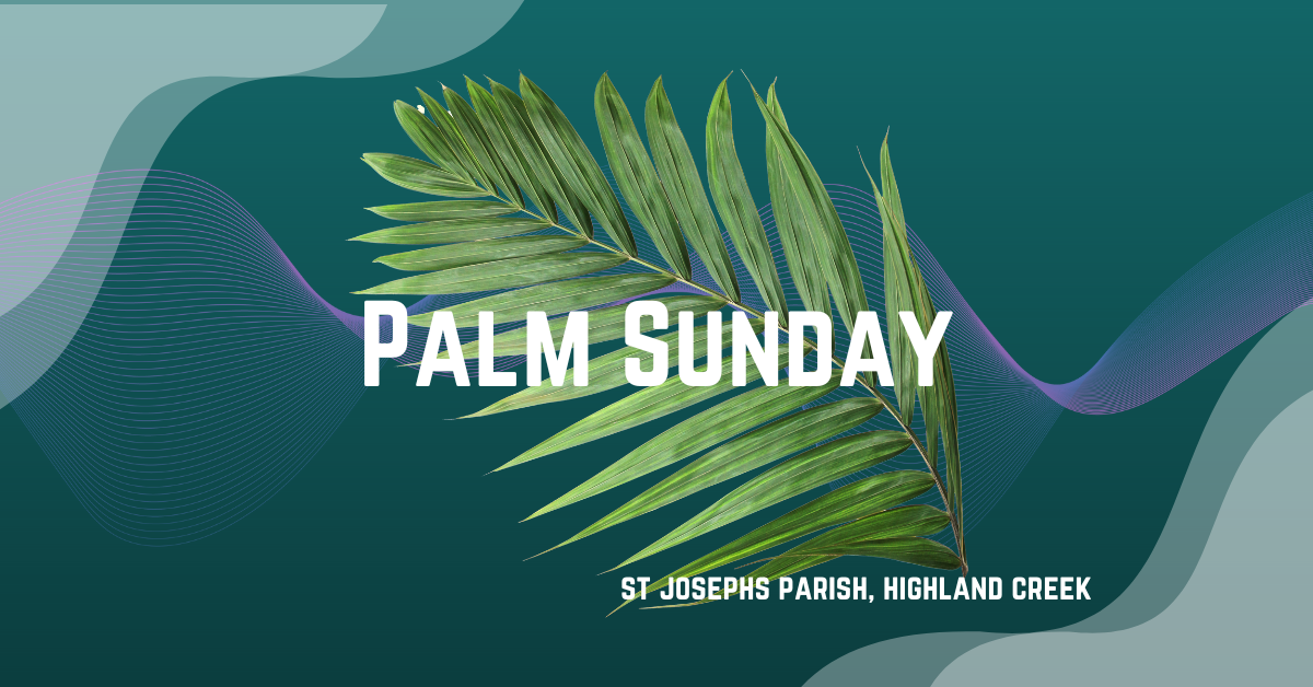 banner palm sunday